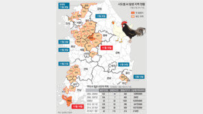 국내 닭 14% 오리 25% 사라져… 도살 5000만 마리로 늘수도