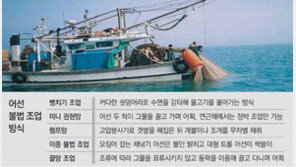 뻥치기-끌망… 연근해 물고기 씨마른다