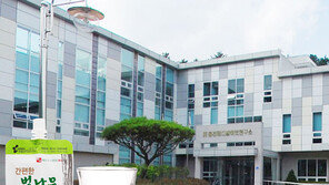 연말연시 현명한 숙취해소법 ‘간편한 벌나무’ 각광