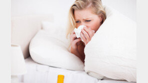 독감치료제, 48시간 안에 먹어야 효과