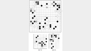 [바둑]역대 국수전 우승 결정국… 아는 자와 모르는 자