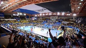 FA 등급제 결의한 V리그 남자부, 연쇄이동 일으킬까