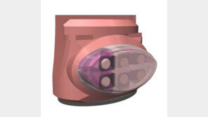 장거리 연인에게 희소식, 키스 감촉 전하는 ‘키스머신’ 등장