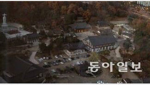 봉은사에서 30대 여성 기름 뿌리고 분신…119도착 전 사망