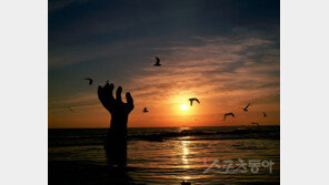 가족과, 연인과 떠나는 해돋이…촛대바위 갈까, 호미곶을 갈까