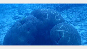 태국 국립공원 바닷속 산호에 한글 낙서 선명…“나라 망신”