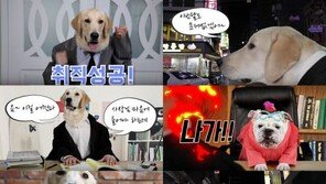 박상민, 견공 앞세운 ‘눈물빵’ 뮤비 공개