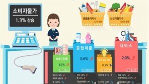 채소 계란 등 신선식품이 소비자물가 끌어올렸다