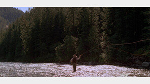 [책의 향기]反지성주의, 세계 최강국 미국의 아이러니