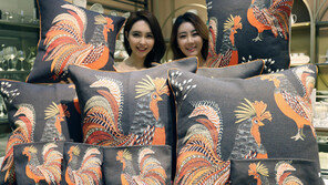 행운의 붉은 닭, 스토리텔링 입다