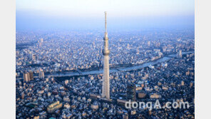도쿄에서 찾은 가장 도쿄다운 여행, “도쿄의 겨울을 즐기는 5가지 방법”