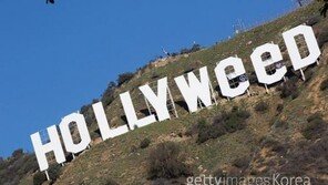 새해 첫날 할리우드 간판 → HOLLYWeeD로 바뀌어 CCTV확인해보니…