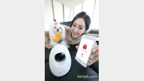 KT, 홈CCTV  ‘GiGA IoT 홈캠2’ 출시…‘안심 알림’ 서비스 등 탑재