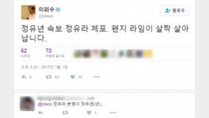 ‘정유라 본명은 정유연’ 이외수 “정유년 속보-정유라 체포 왠지 라임이 살아”