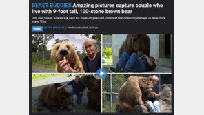 2m 넘는 야생곰들과 애견 대하 듯 스킨십…어떻게 이런 일이?