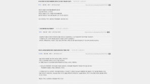 박사모 “말타고 대학간 거 외에 뭔 죄를 지었다고…정유라 죄없어, 최순실 압박용”