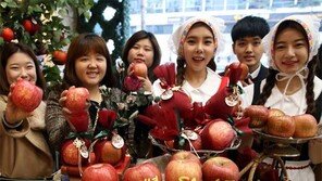 “福 사과 5일까지 나눠드려요”