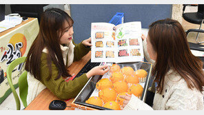 “설 선물 세트 예약하세요”