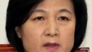 국민의당 “秋, 개헌 보고서 해명하라”…민주당 “생트집, 제 앞날이나 걱정하길”