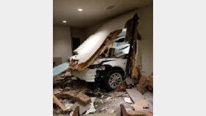 손지창 “어떤 미친놈이 아이 태우고 액셀을” vs 테슬라 “유명 지위 잉용해 협박”