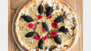 24K 금·캐비어·트러플 듬뿍…한 판에 240만원 초호화 피자 등장