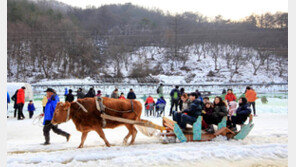 “칠갑산 알프스마을로 오세요”