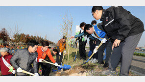 포항시 ‘녹색도시 조성’ 팔 걷어붙였다