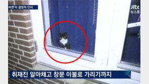 정유라 패딩에 이어 ‘정유라 고양이’…주인 숨었는데 눈치없이 빼꼼