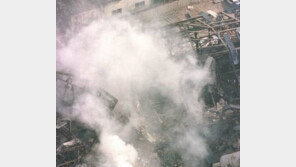 농약 냄새 없애려 물 뿌렸는데…유독가스 생성돼 4형제 사망