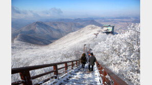 강원서 ‘뜨겁닭’ 먹고, 땅끝마을서 소원 빌기