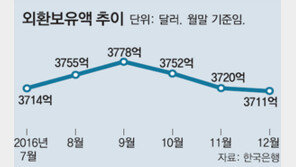 외환보유액, 3개월 연속 내리막