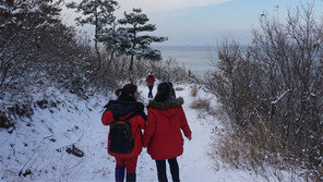 운치 가득 해운대삼포길, 활어 펄떡 양양해파랑길