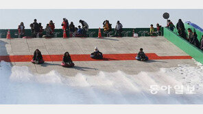 봄 같은 겨울… 강원도의 눈물