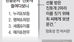 [단독]진돗개 작명-벽지 선정도 관여… 또 드러난 ‘靑 안방권력’ 최순실