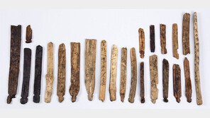 6세기 신라, 법치주의 뿌리내려