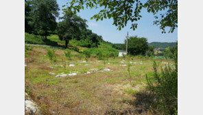 [화제의 분양현장]신규개발 호재 평택 부동산 들썩