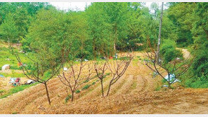 [화제의 분양현장]잠실까지 10분거리 하남 그린벨트 인기… “노후엔 땅이 효자”