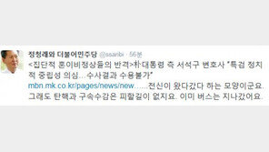 정청래, 朴대통령 측 서석구 변호사 겨냥…“집단적 ‘혼이 비정상’들의 반격”