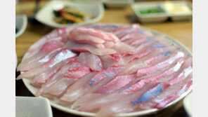 고소한 방어회·시원한 곰칫국…겨울포구 함께 갈래요?