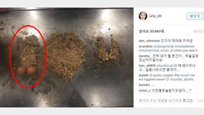 설리, 이번에는 男 ‘성기’ 연상시키는 사진 인스타그램에…