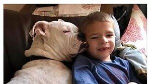 청각장애 소년, '귀머거리 개'와 교감 ‘따듯’