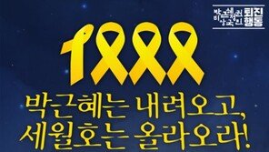 새해 첫 주말 촛불집회는 ‘세월호 1000일 추모’  영정사진 들고 청와대로…