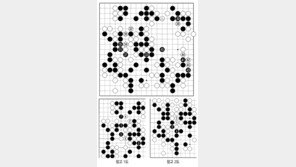 [바둑]역대 국수전 우승 결정국… 부자 몸조심