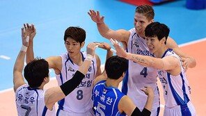 궤도진입 삼성화재, 긍정의 재료들