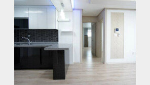 단속 사각 불법 ‘근생 빌라’ 우후죽순