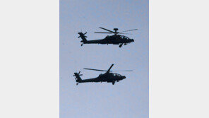 美, ‘현존 최강 공격헬기’ 아파치 24대 한국에…배치 지역은?