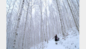 ‘크루’가 돌봐주는 안전한 겨울캠핑