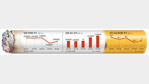 [단독]흡연 못 줄이고 나라 곳간만 챙긴 금연정책