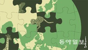 [김재호의 과학 에세이]전 세계 7100마리뿐인 치타… 이제는 멸종위기종