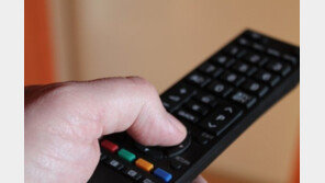 남의 집 TV 리모컨 훔쳤는데 징역 22년? 중형 이유 살펴보니…